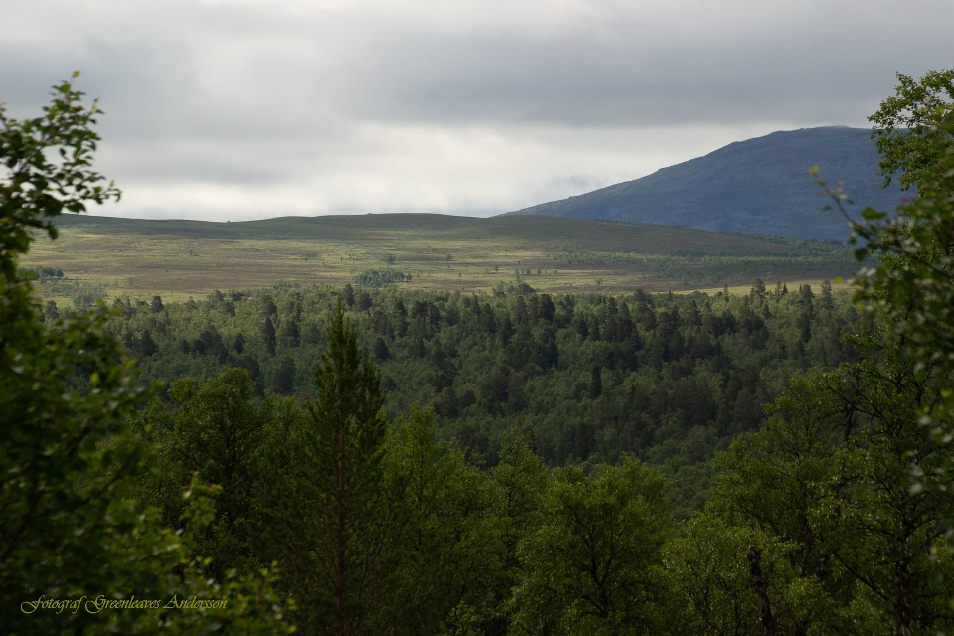 Fjällen från Mittådalen